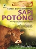 Sukses bisnis dan beternak sapi potong